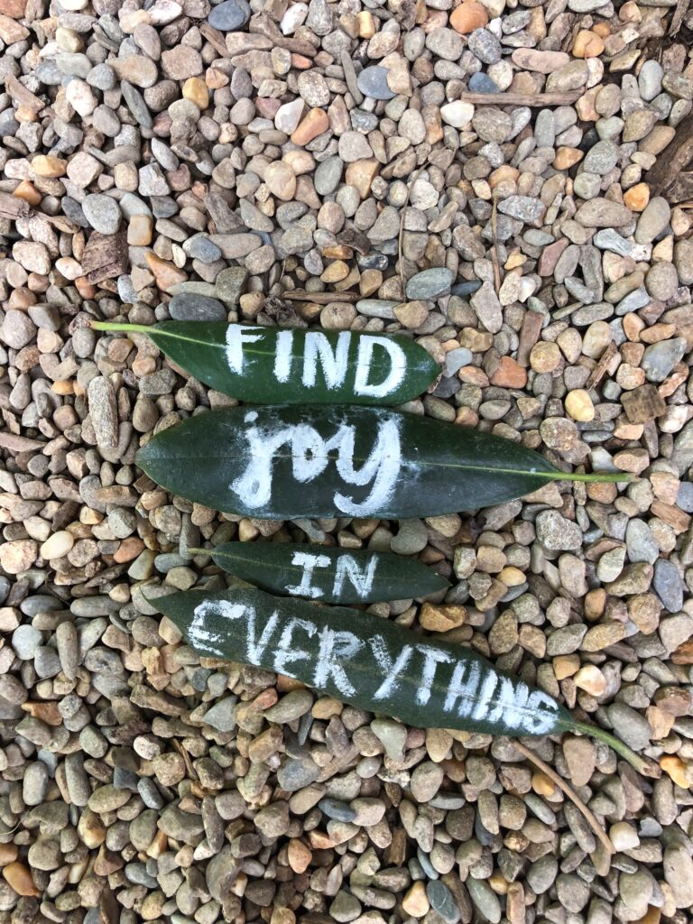 Pebbles, water, leaves mentioning - 'Find Joy in everything'
